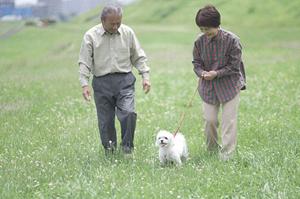 大切な記念写真をハワイで撮ろう