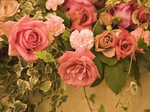 京都の神社の挙式サポートならここ