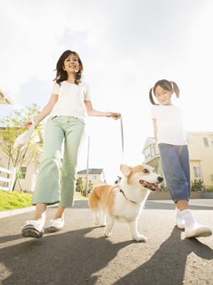 サービスの良い東京にある結婚相談所